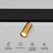 Трековый светодиодный светильник Elektrostandard Slim Magnetic Dim Cantors 85071/01 латунь a063531